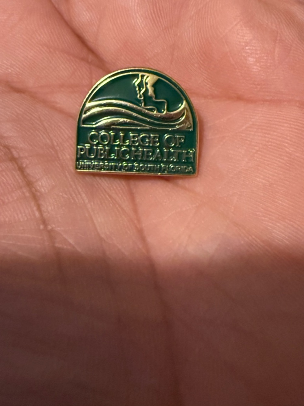 College of Public Health Enamel Pin - Green & Gold